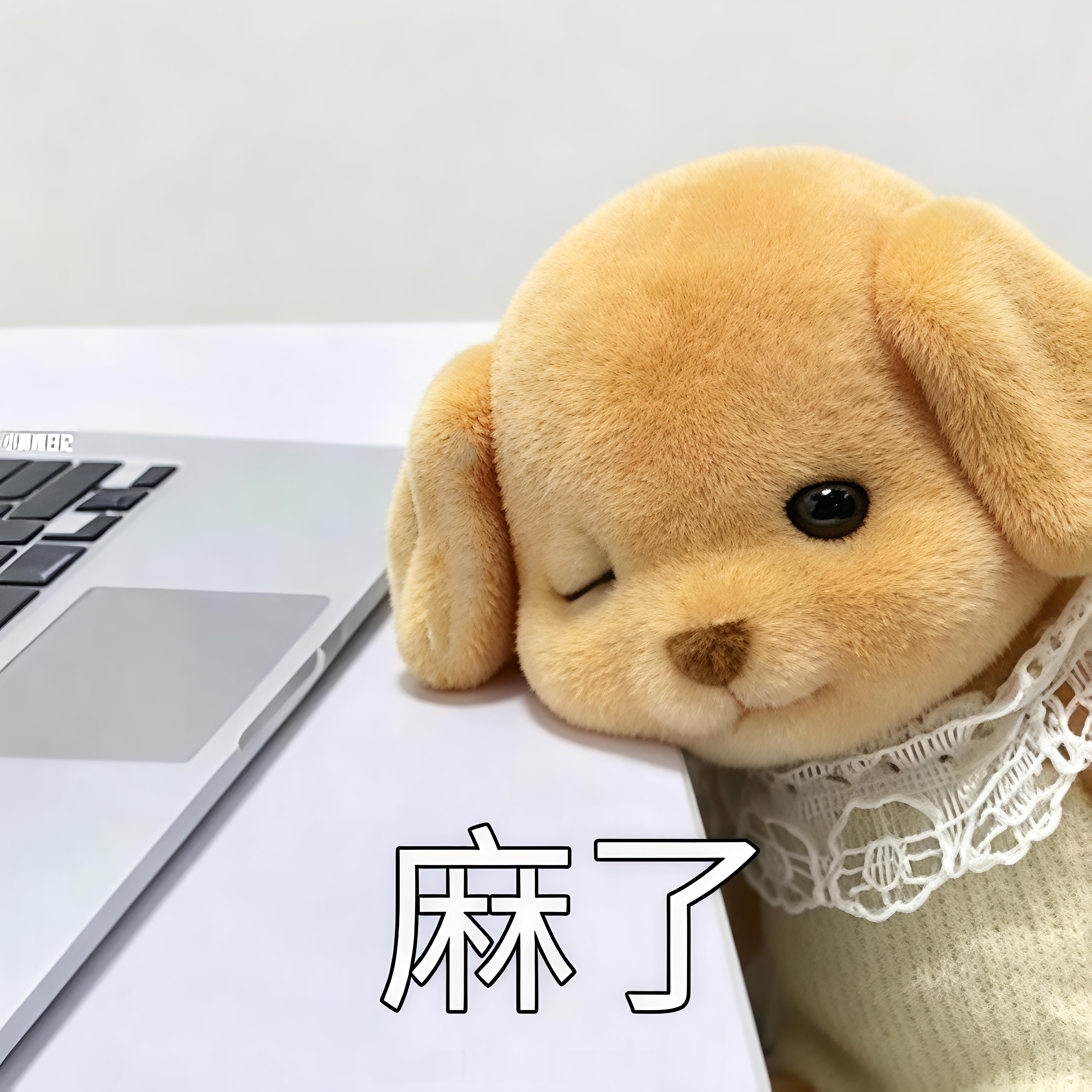 随便吧，就这样吧 