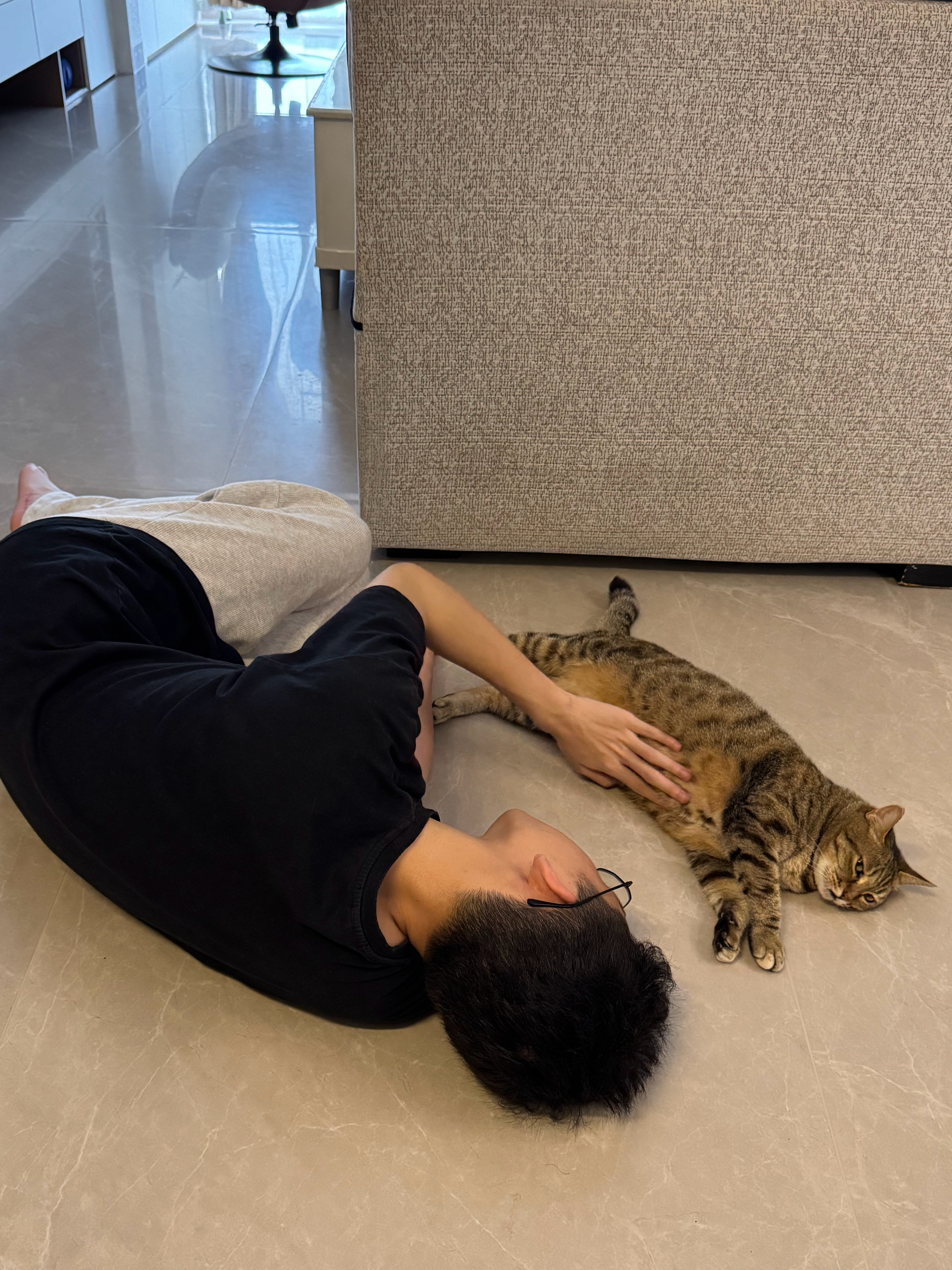 小孩与猫 