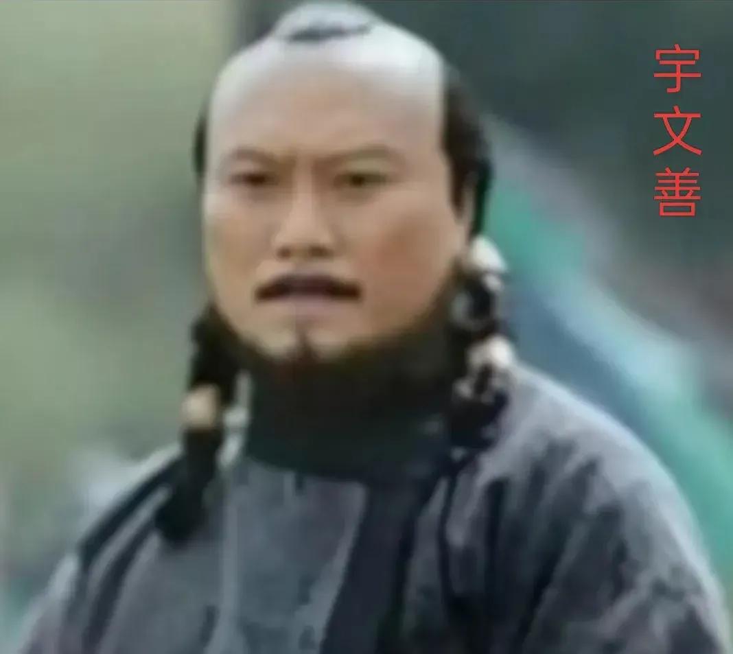 ‌宇文善（516年—589年），字仲良，是西魏到隋朝时期的大臣‌。他是鲜卑族人，