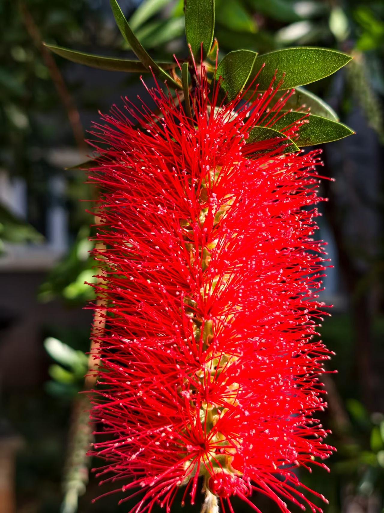 如果看诉状审查立案只是level 1，那么看其他法院移送的案件那就是杀伤力巨大的