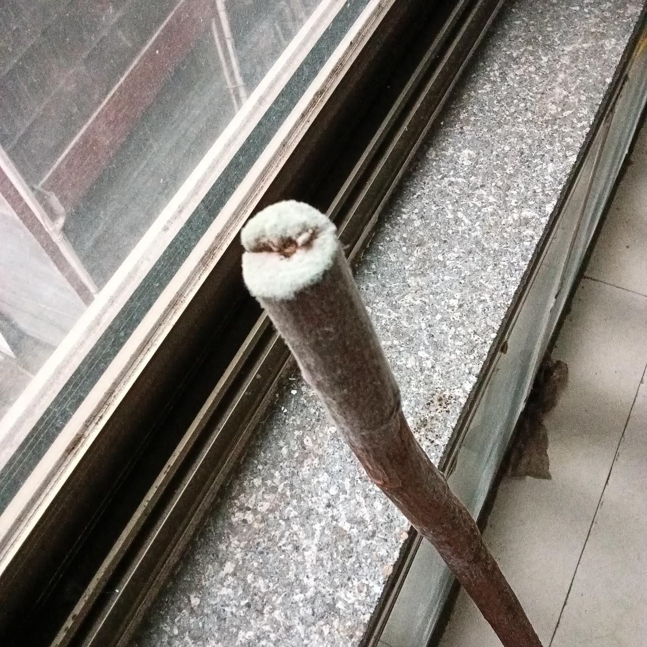 潮湿不知不觉的来袭

我们在巴马生活近4个月了，大家都在吵着这里的回南天来了，但