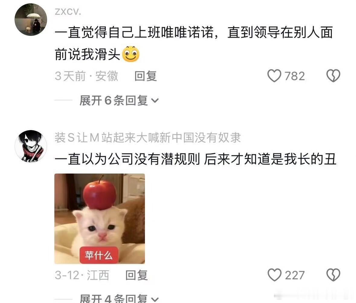 当我以为我的打工人设是老实人…… 