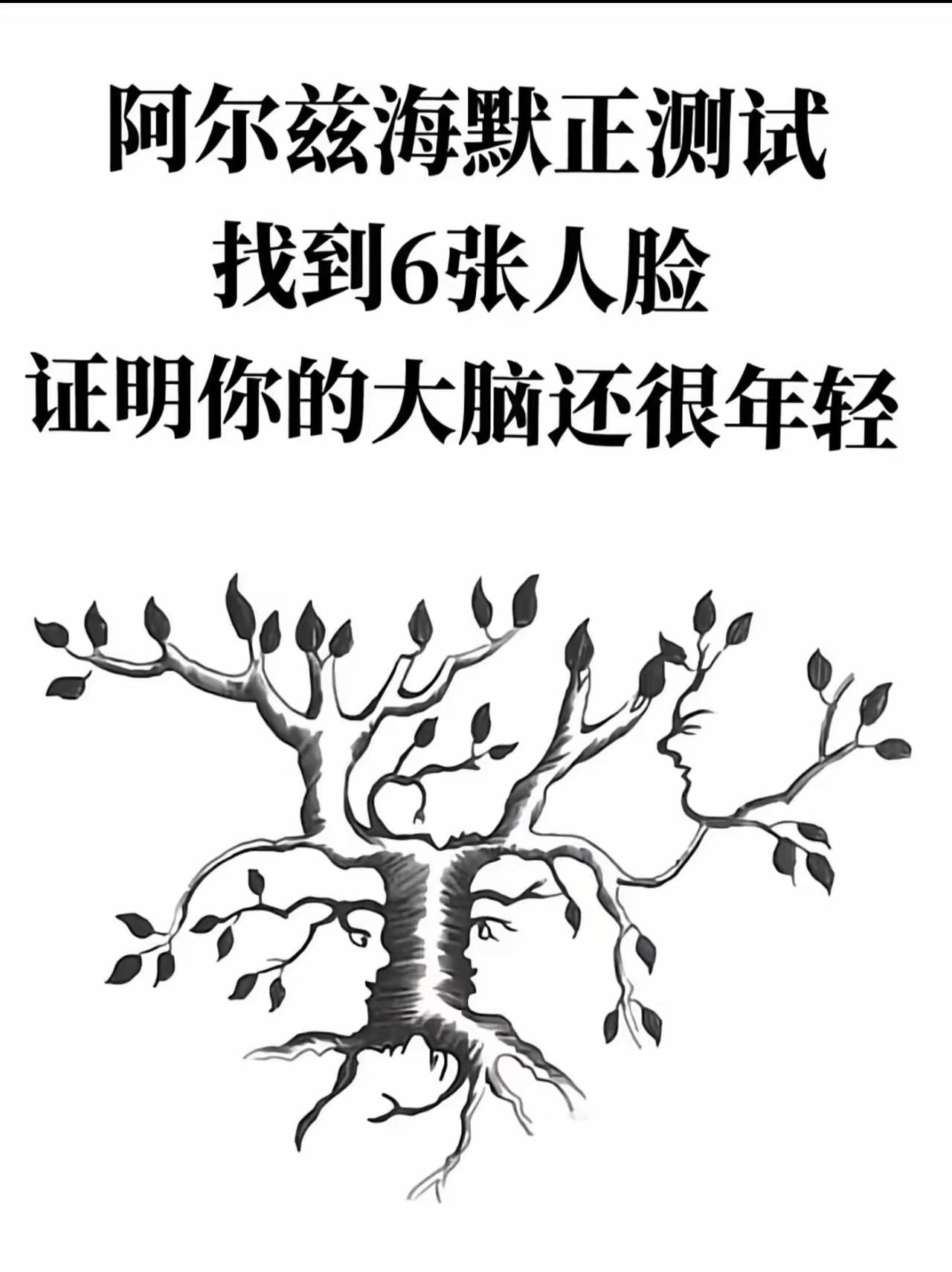 一张树形图暗藏6张人脸，快速找全的人，观察力和大脑状态远超同龄人

眼力测试挑战