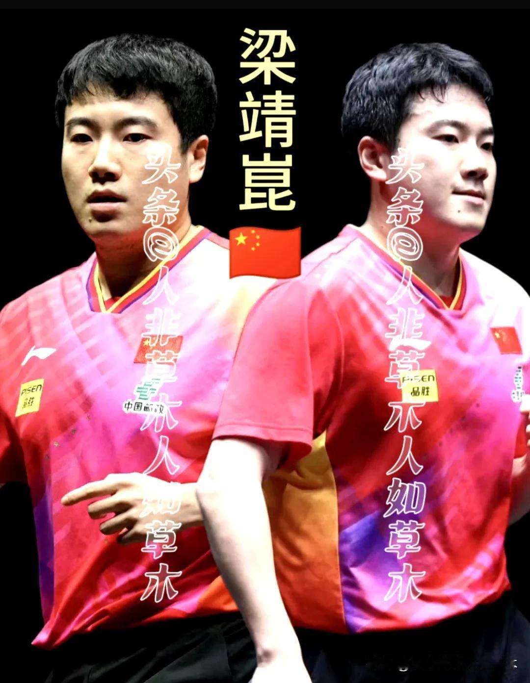 梁靖崑28岁，国乒现役主力之一！
🔹实时世界排名第四！
🔹主要成绩：
奥地利
