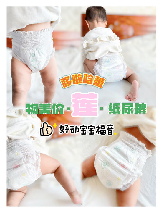 夏天屁粮就选它！屁屁真的会呼吸