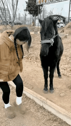 驴说：真是傻妞，还好意思笑。
女孩：我哪里错了，不就是用脚刨个土吗？
驴说：真蠢