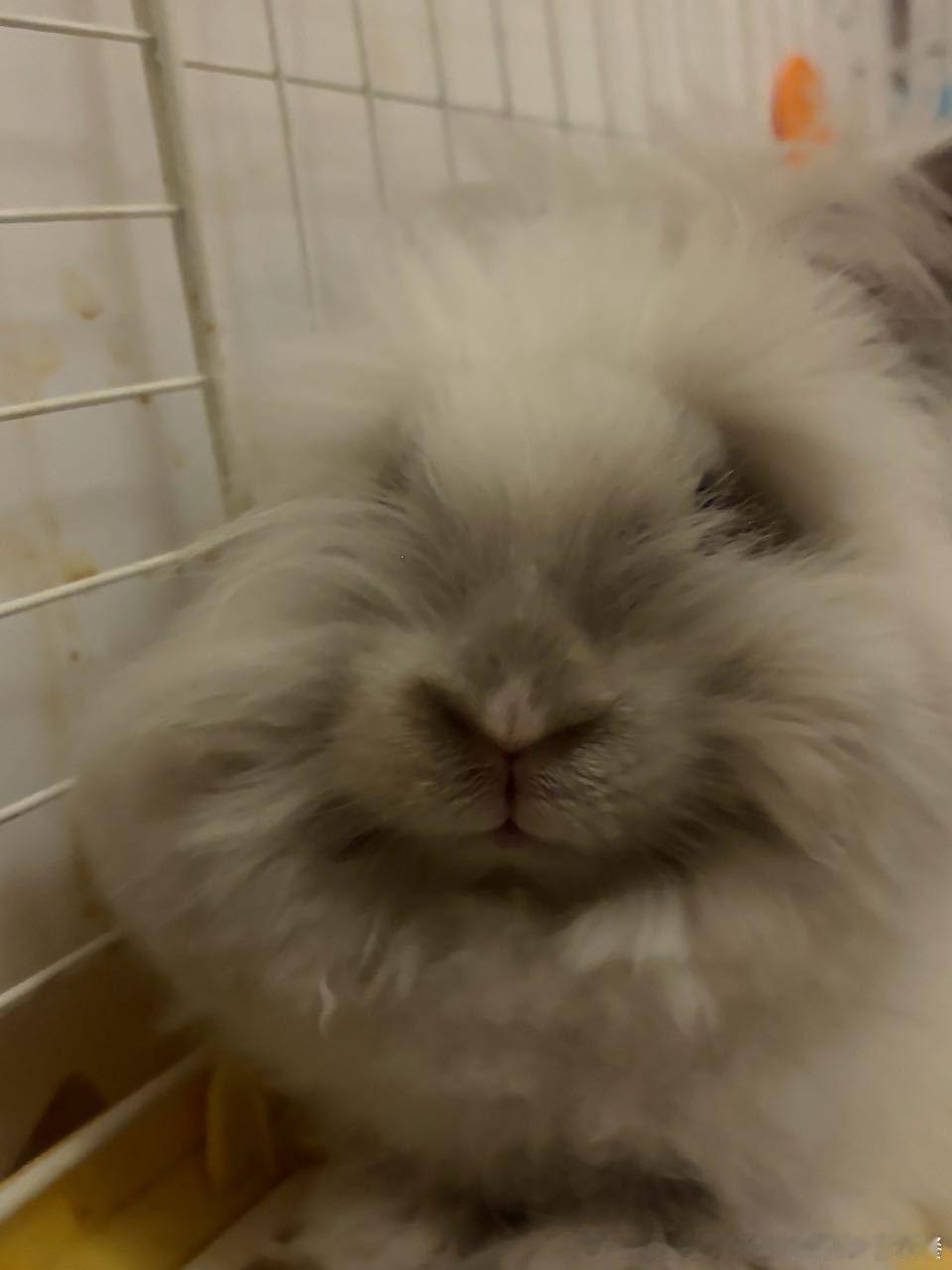 14198🐇【】蒙娜丽莎 