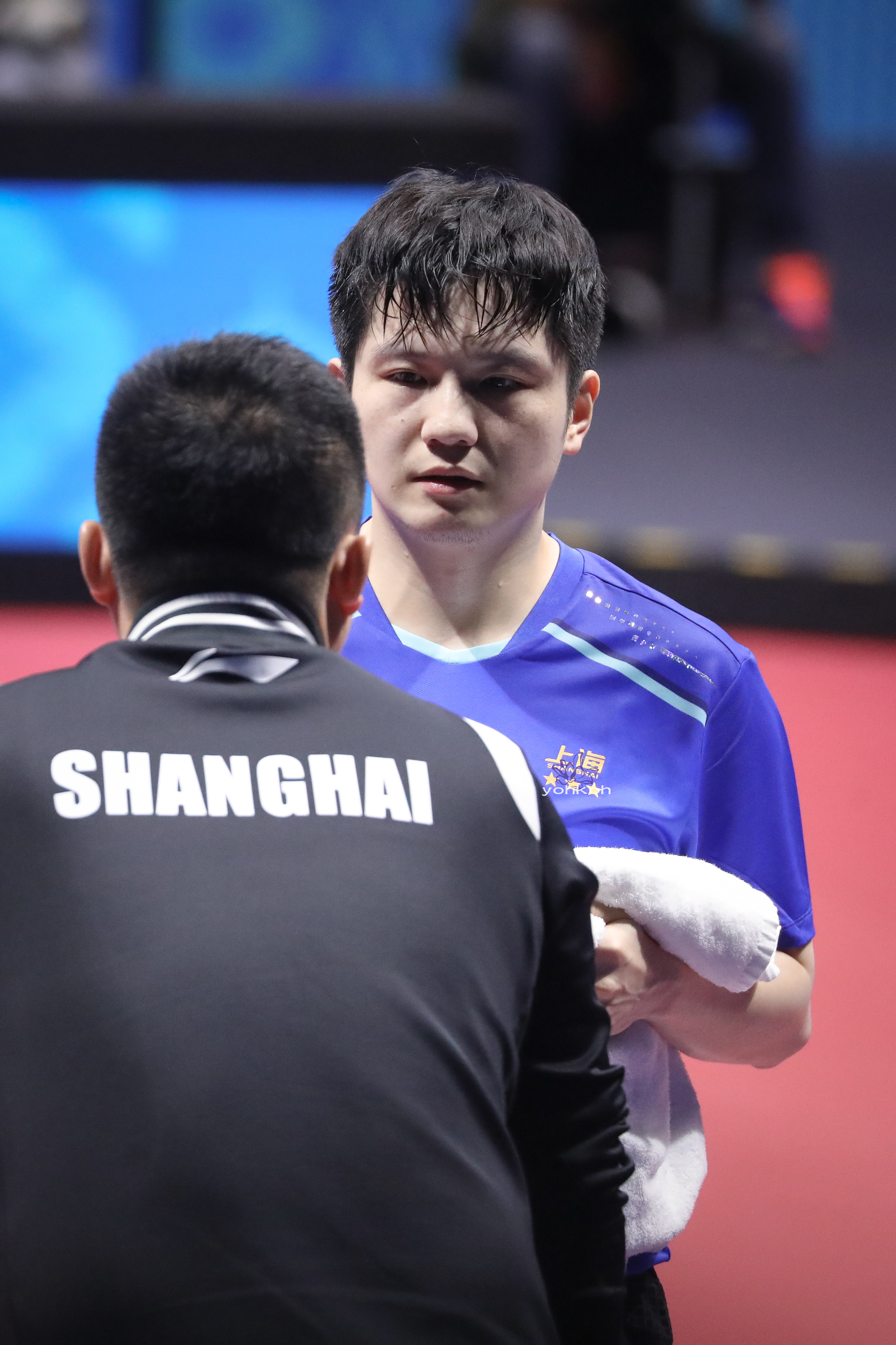 樊振东第十五届全运会 一起看遍繁花盛开「20251110第十五届全运会男单1/1