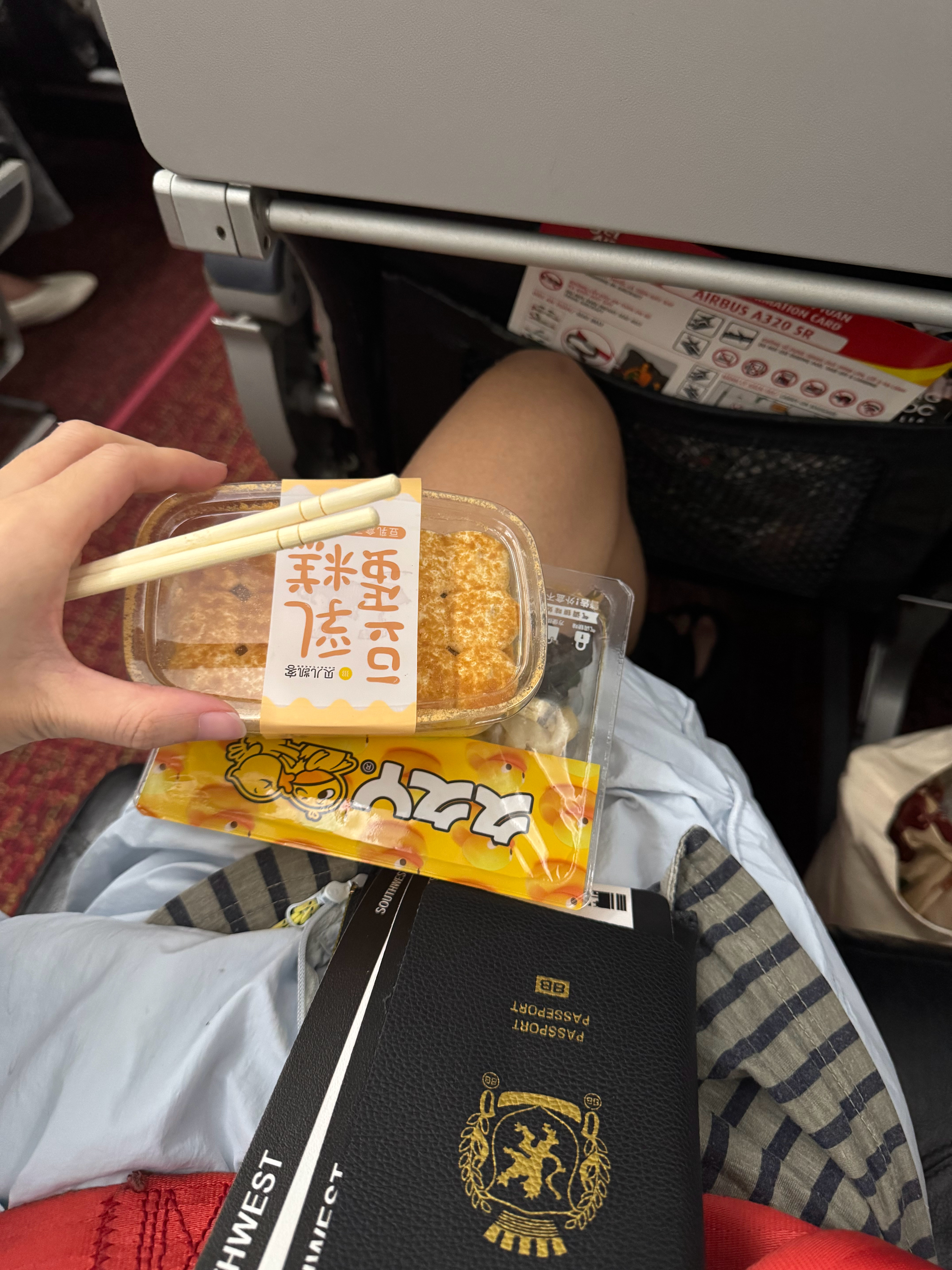 在便利店买了豆乳盒子和素菜拼盘（荤菜贵）～带上飞机爽吃 甜咸搭配 吃完晕碳睡 天