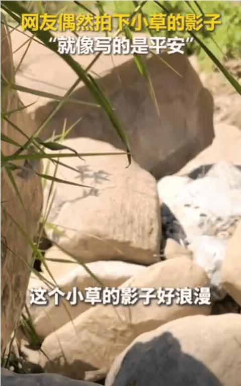 解释不清了！四川，女生出门钓鱼，发现旁边草丛下有个黑影，她起初以为是蛇，可凑近一