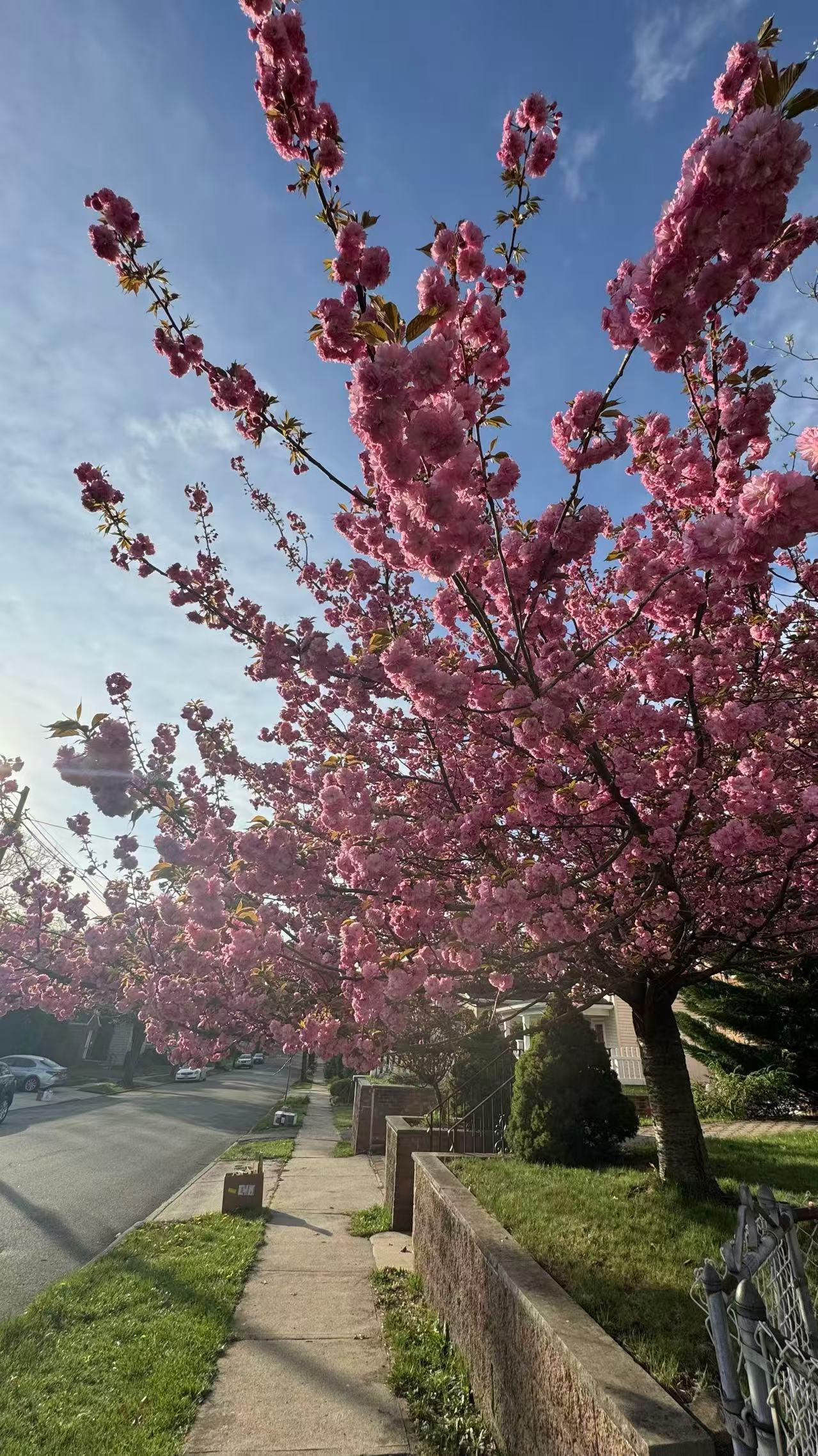 趁着春风，把冬天的厚重衣物洗干净收起来，换上轻便的春装；把房间打扫得一尘不染，在