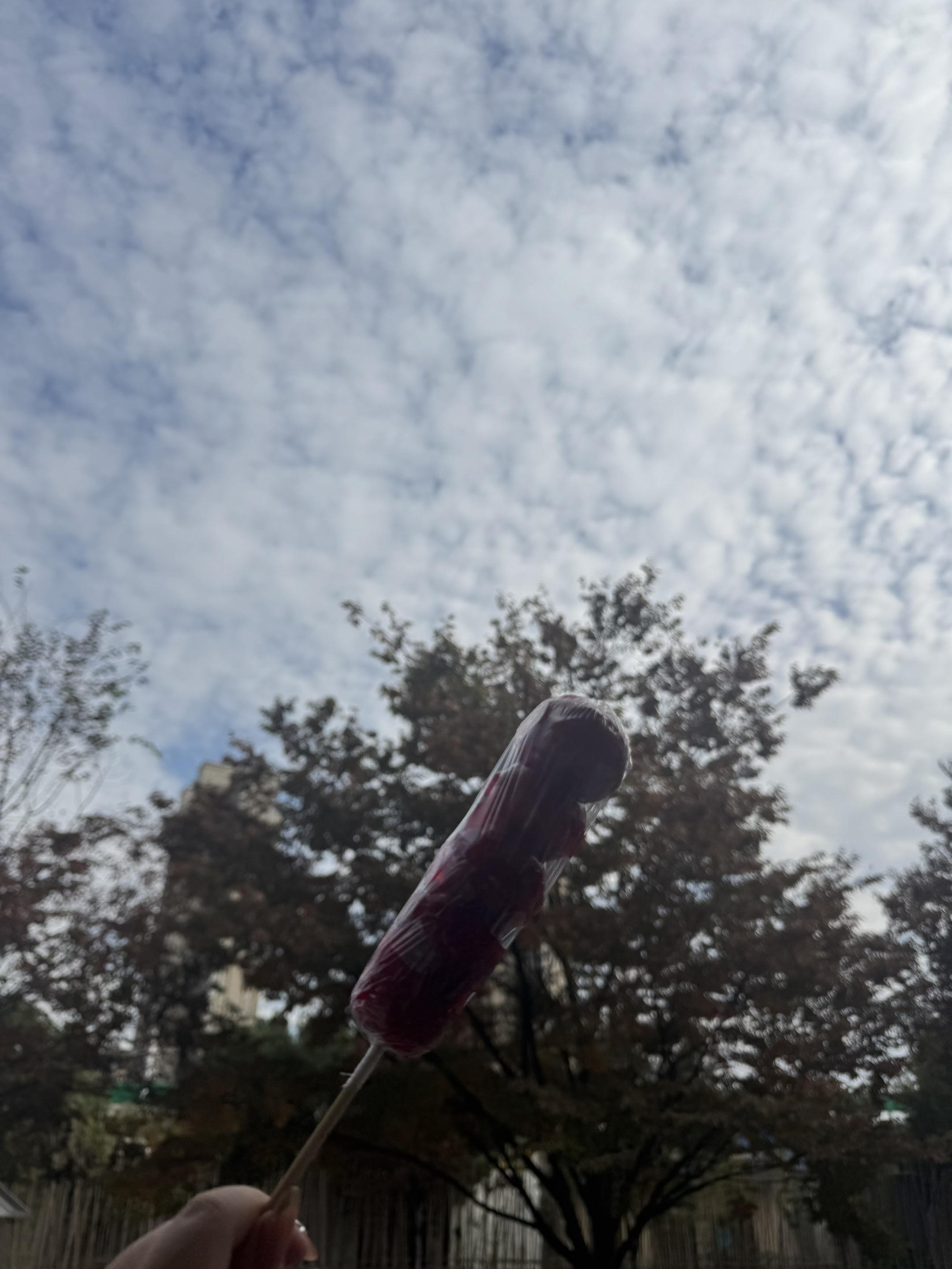 所以这位兄弟觉得我应该买下他的所有糖葫芦。回复  没想到我都有黑粉了...