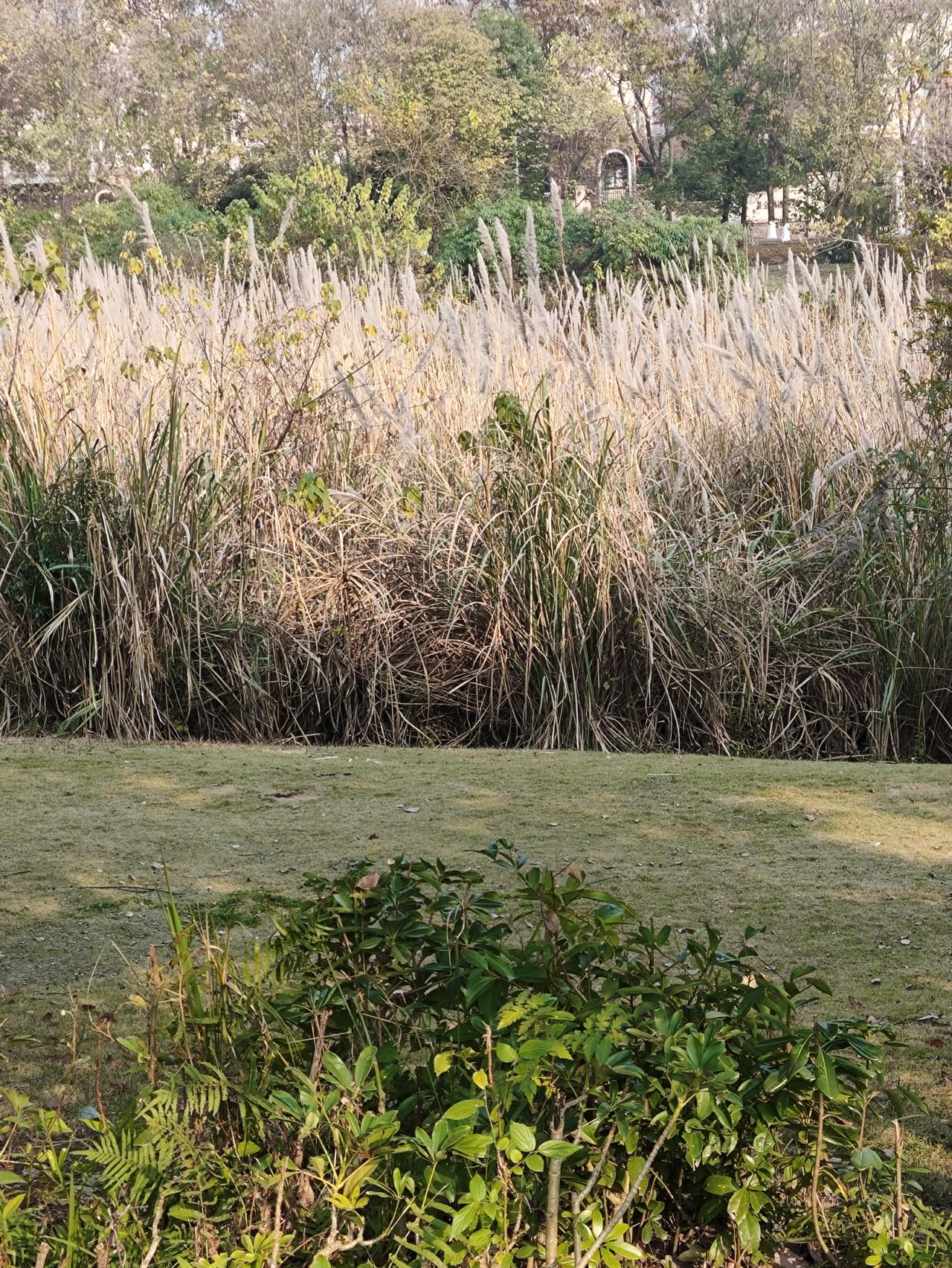 分享一张自然风景的照片