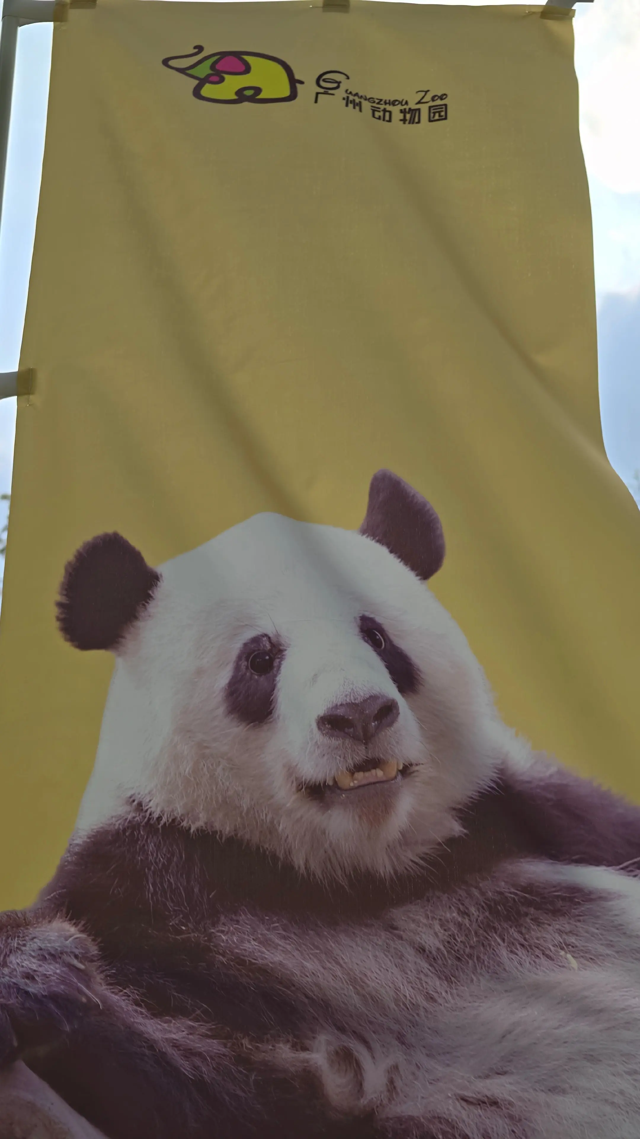 我不会是第一个发现星一戴美瞳的吧？（笑🐭，谁给星一p的眼睛？？？？应...