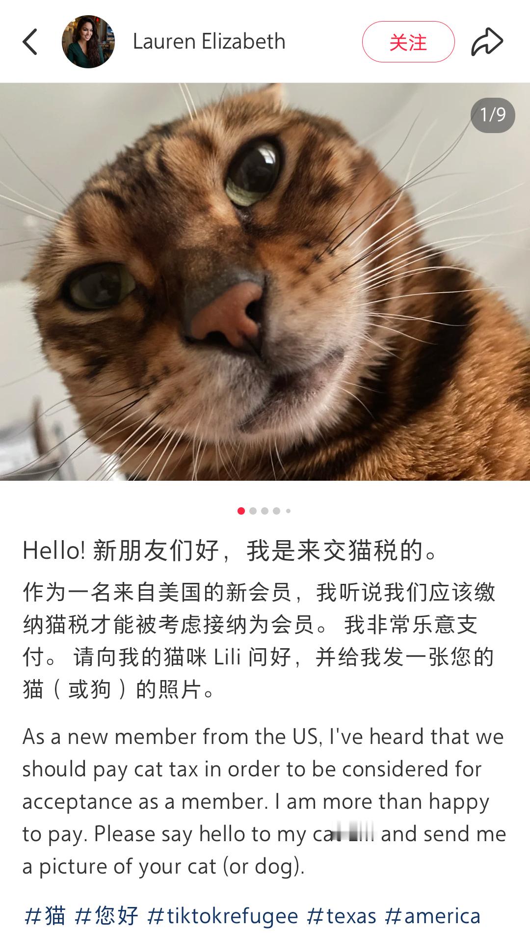 美国网友涌入小红书交猫税 到底是谁告诉他们来小地瓜🍠需要教猫税啊[警探奶牛猫]