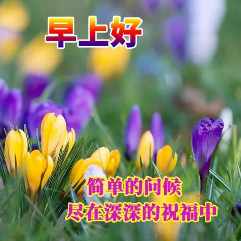 万物不随身，
只有健康亲。
生活糊涂过，
日子每天新。
早上进头条，
惦念有缘人