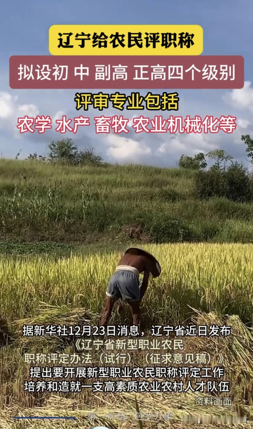 辽宁先行试点开了个先河，
打算给农民评职称分等级了。

初衷应该是好的，但是就怕
