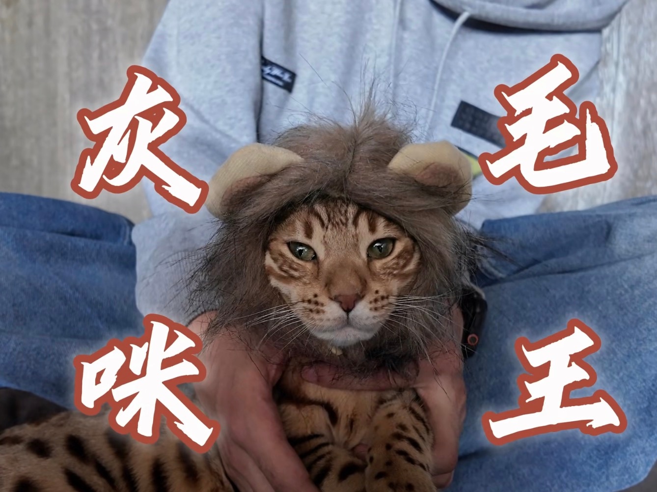 鱼塔今天还有时间干活不 