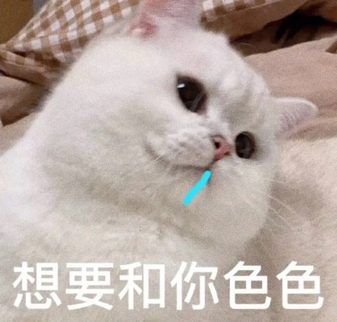 我要在你身上做，春天对樱花树做的事。 