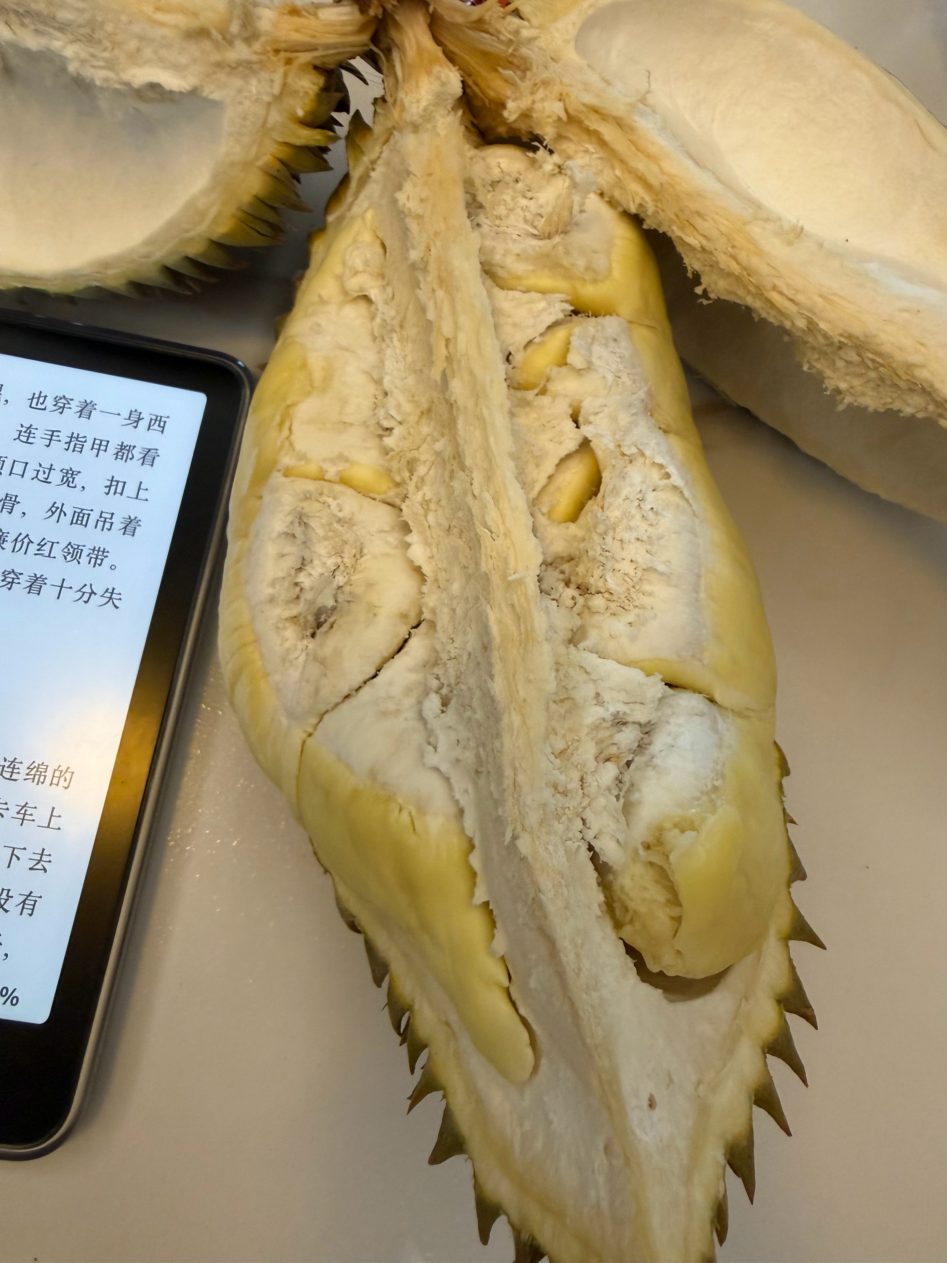 又过上独居生活了老公送婆婆孩子回唐县了外边下着雨，我一个人在家看书吃榴莲，好幸福