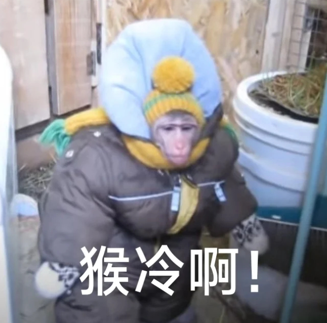北京的秋天太适合露营了 北京哪来的秋天呀，现在穿卫衣加外套都冷的不行[生病] ​