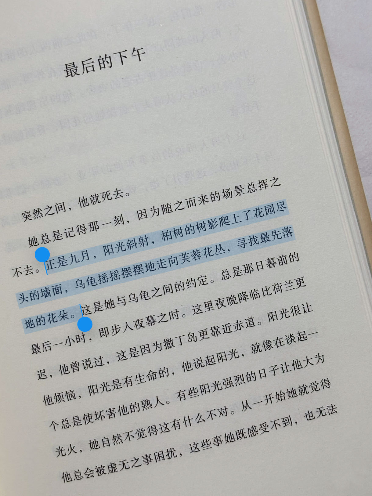 正是九月，阳光斜射柏树的树影爬上了花园尽头的墻面乌龟摇摇摆摆地走向芙蓉花丛寻找最