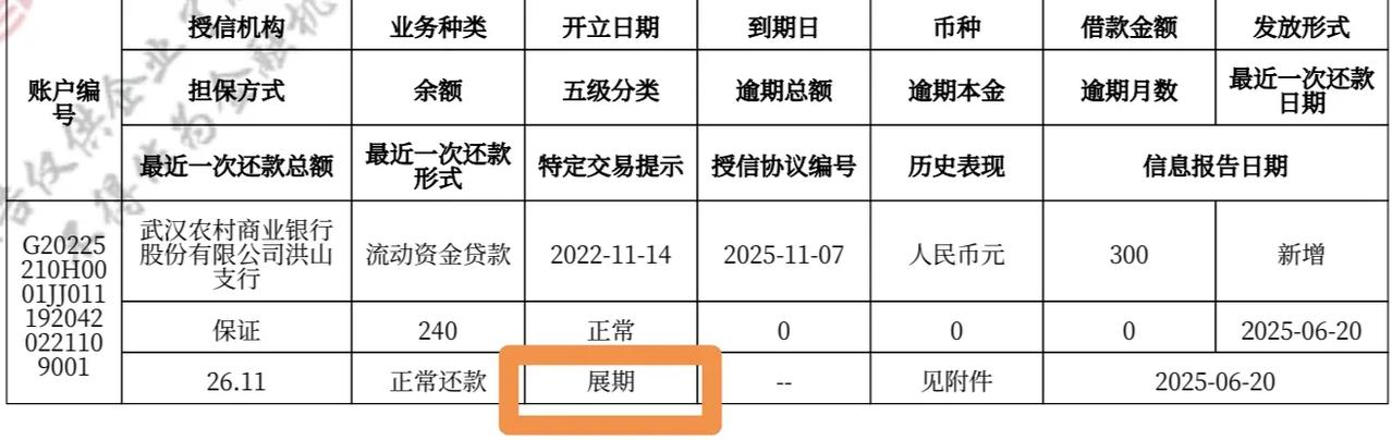工程行业，贷销比超过70%，征信有展期，基本废了！
银行融资基本不可能！武汉身边