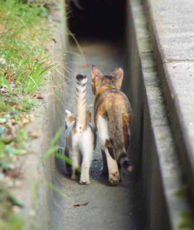 我幼儿园放学和妈妈回家belike 