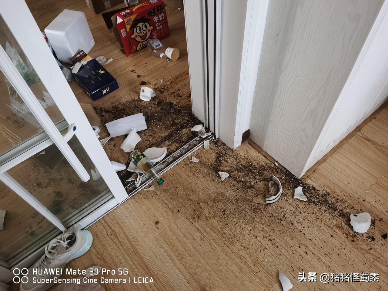 今天家里又整出一场“母女大战”，说真的，我早练成了“隔岸观火”的神功，可这次我这