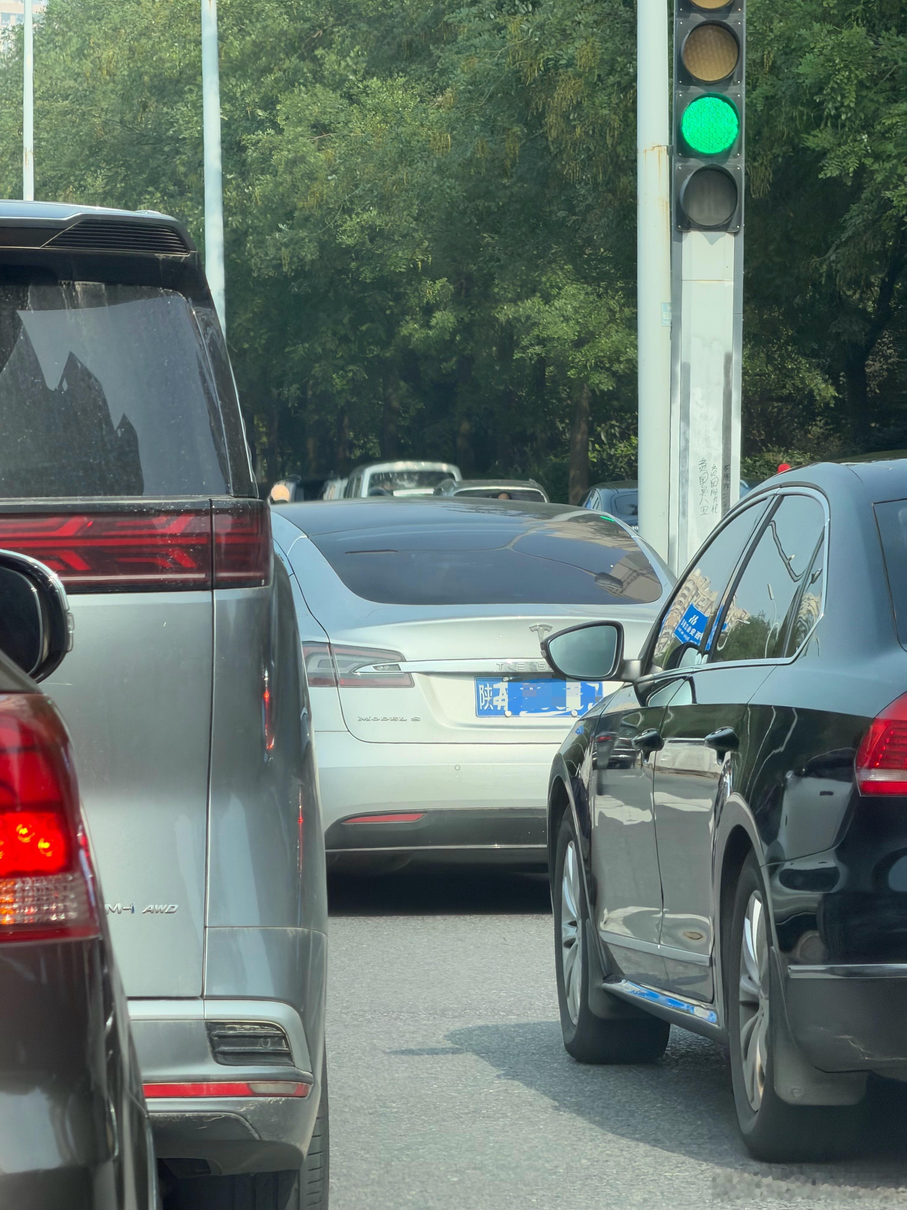 开特斯拉的不一定有钱，但是开蓝牌特斯拉的一定有钱[doge]  ​​​