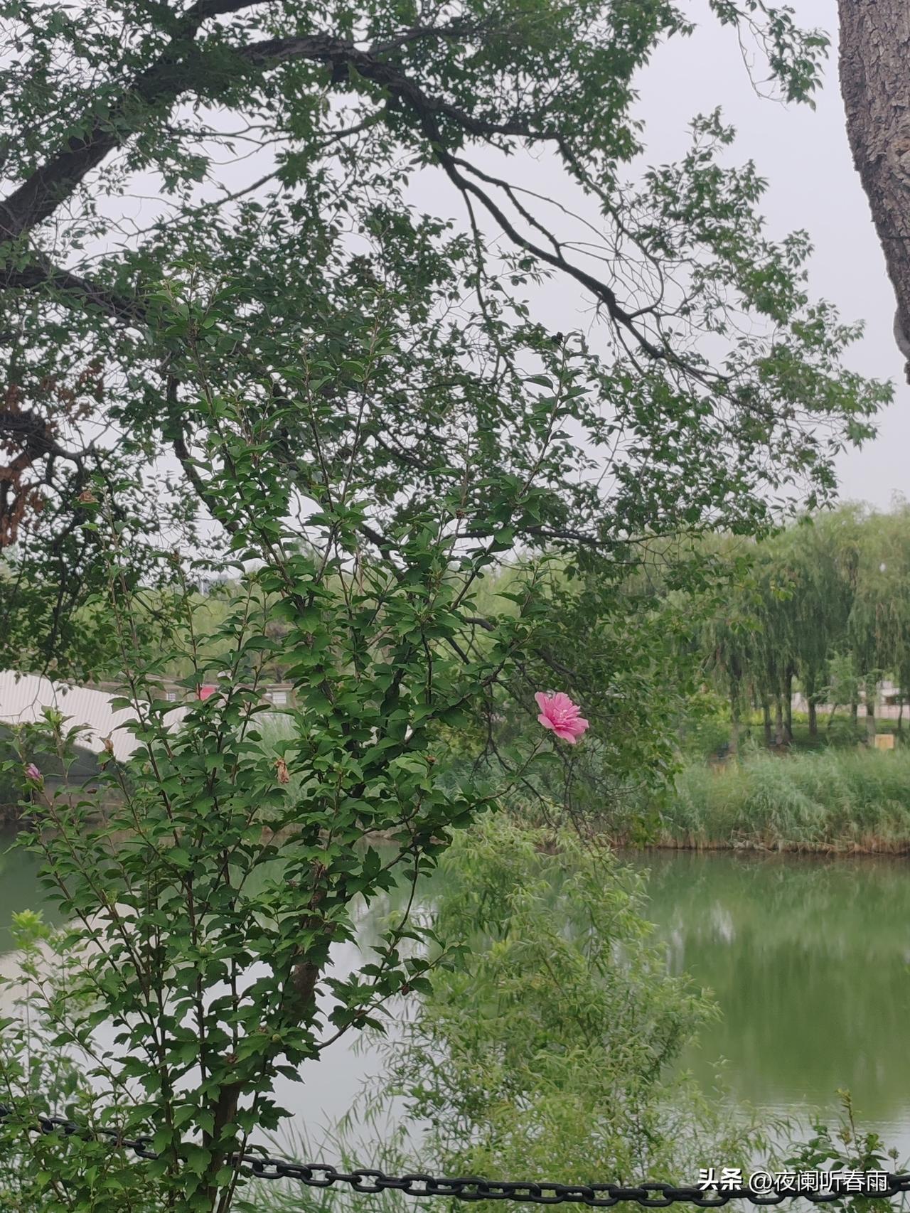 老王的儿子刚考上公务员时，那高兴劲儿溢于言表，然而不到三年，他的笑容消失了，不愿