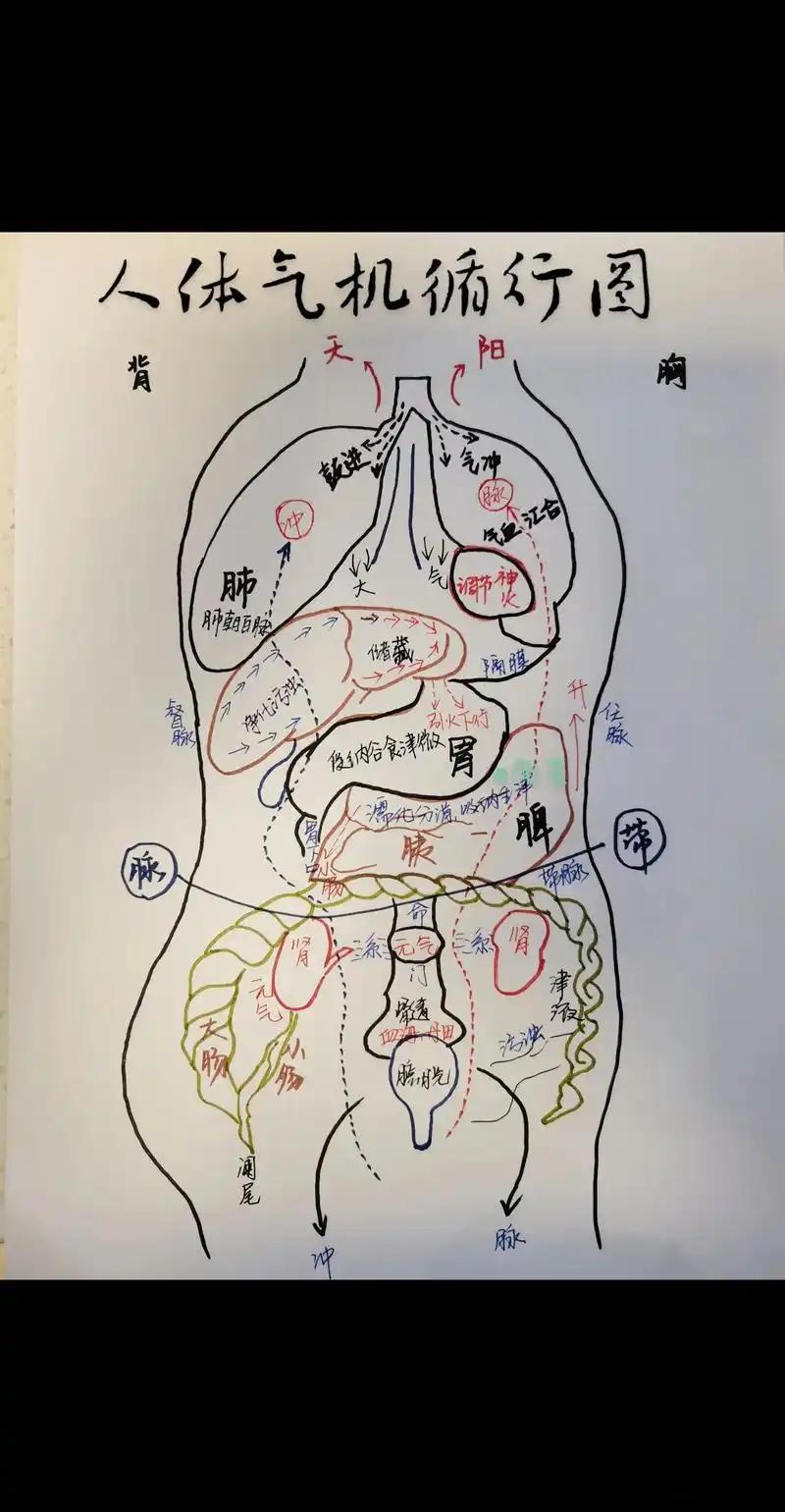 升降配伍方剂底层逻辑（可直接用于学习/临床笔记）一、核心总纲：升降是方剂的底层骨