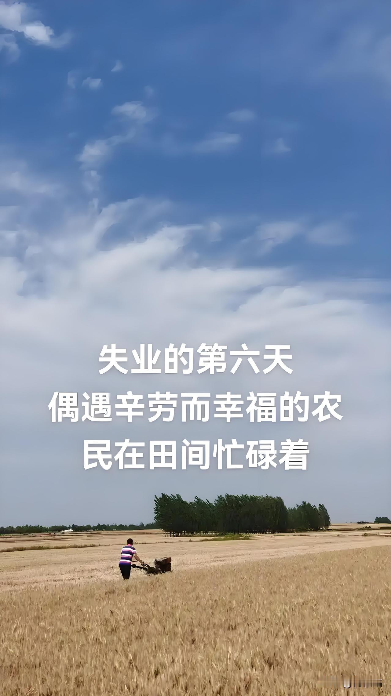 今天是我失业的第六天了！
三十八岁的人，突然没了工作，心里空落落的，连觉都睡不踏