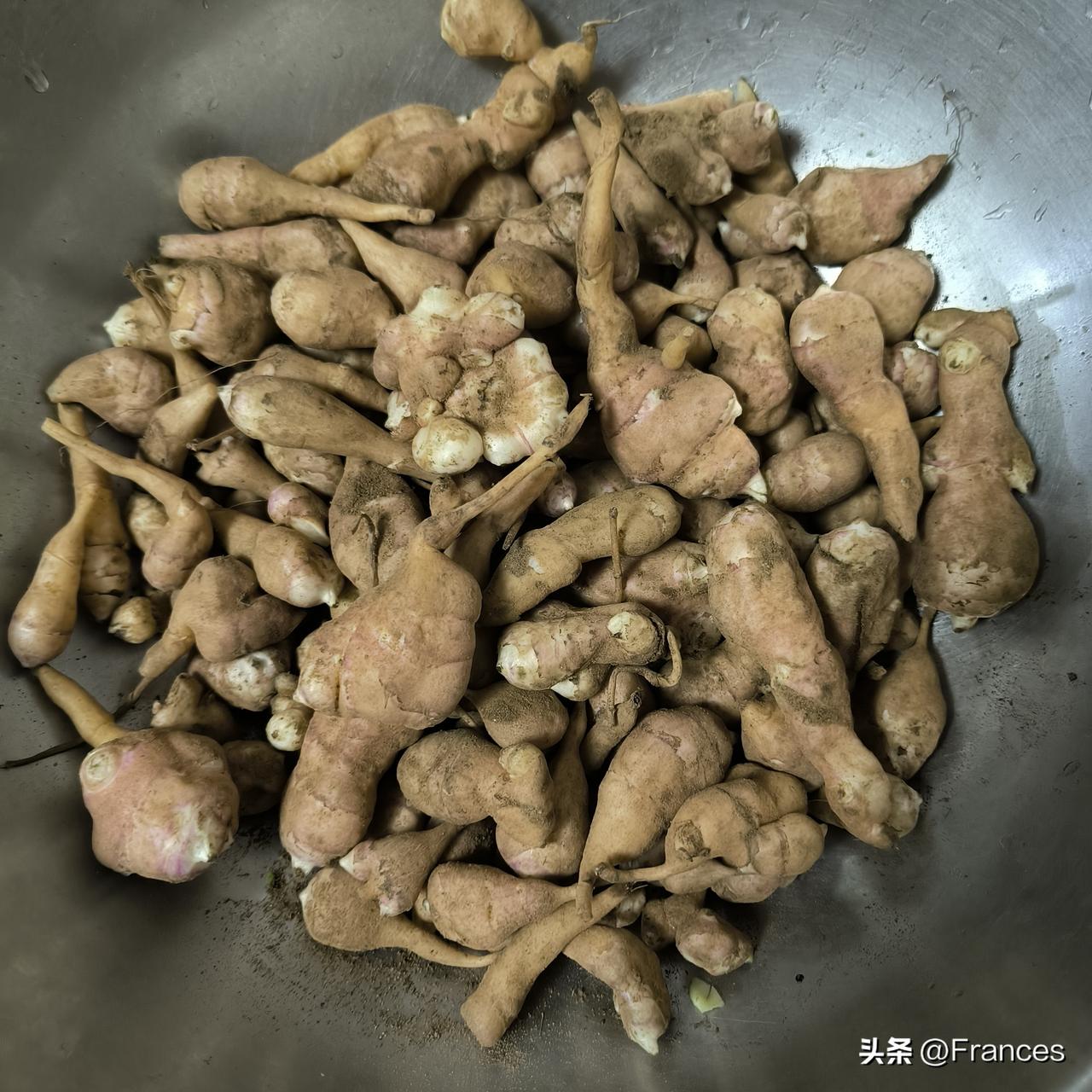 今天我找了一个好活：挖洋姜

上午上完两节课，回到办公室喝茶看手机，发现有一个高