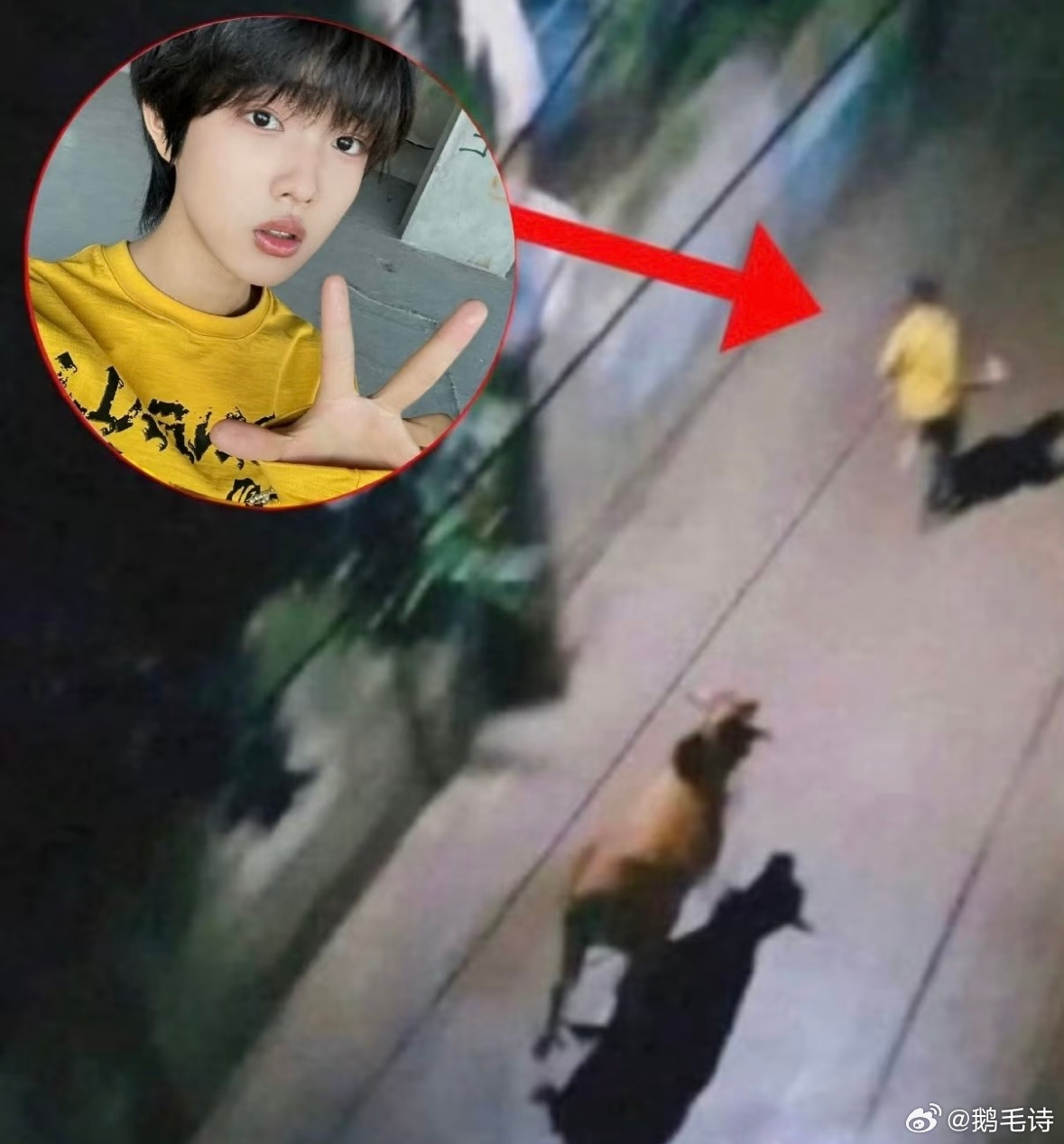 wtf？？？王烁然被牛追着跑，发生了什么，这也太恐怖了吧 