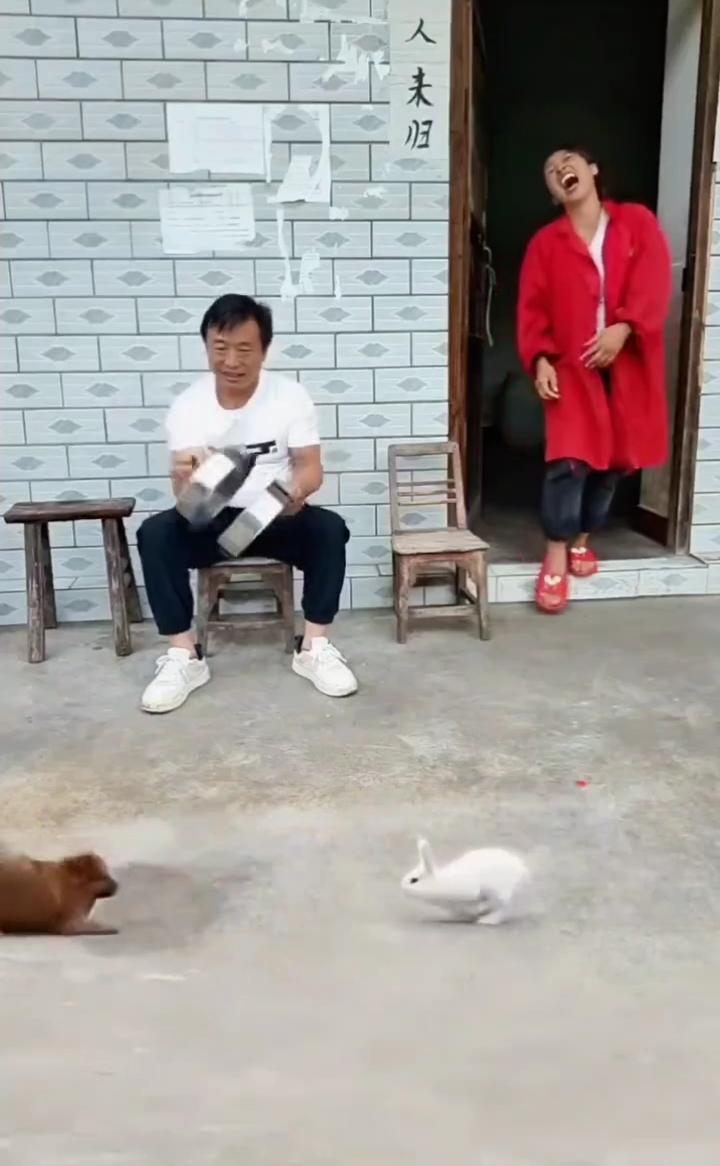 哎呦我的妈，哈哈哈哈。