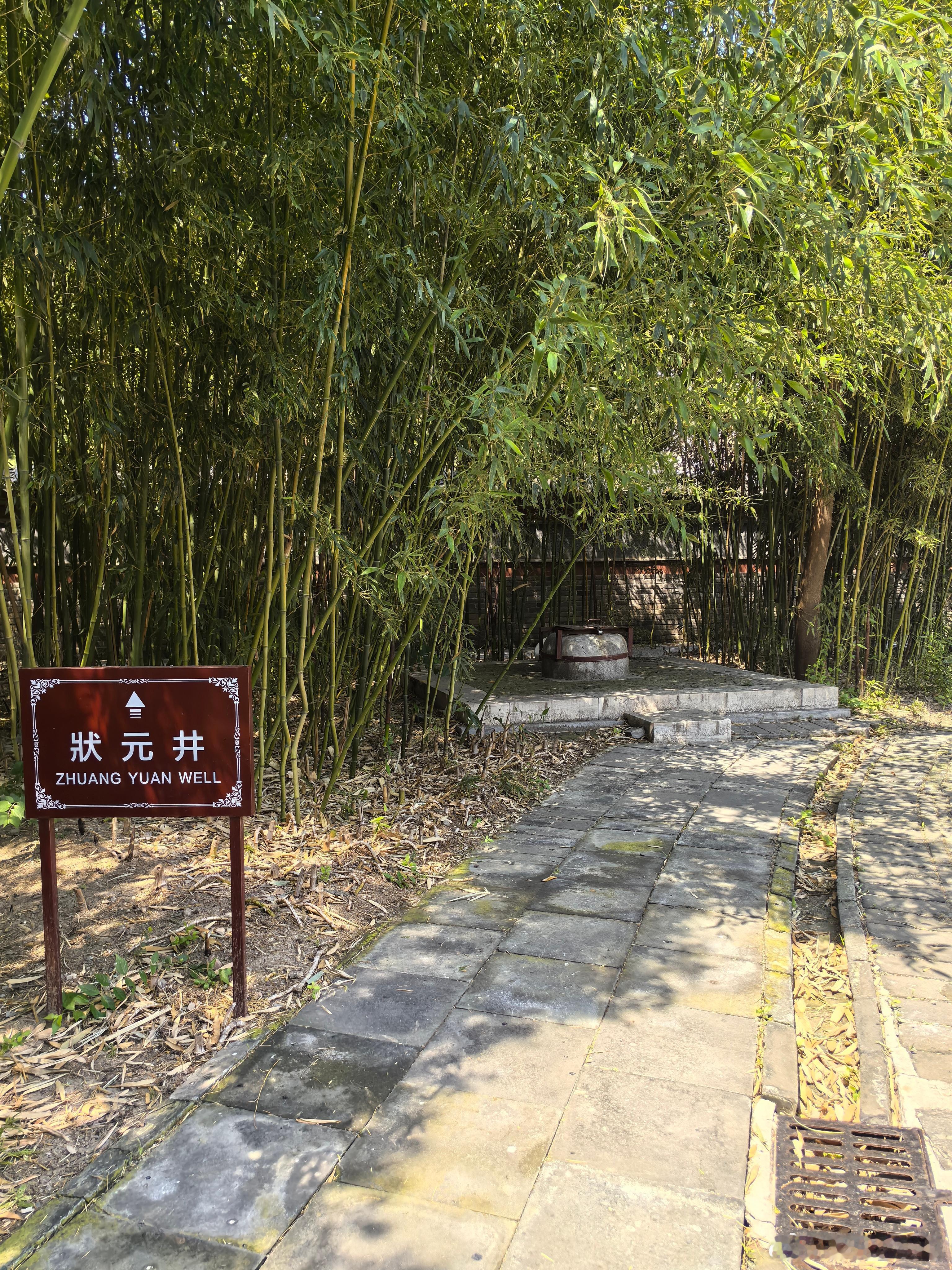 津彩绽放点赞天津 状元井 