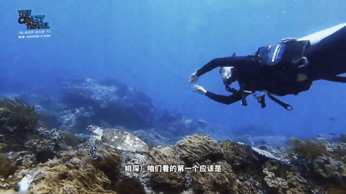 姚琛给自己拍了个慢综姚琛的半小时潜水vlog 别人的vlog三分钟看完，姚琛的v