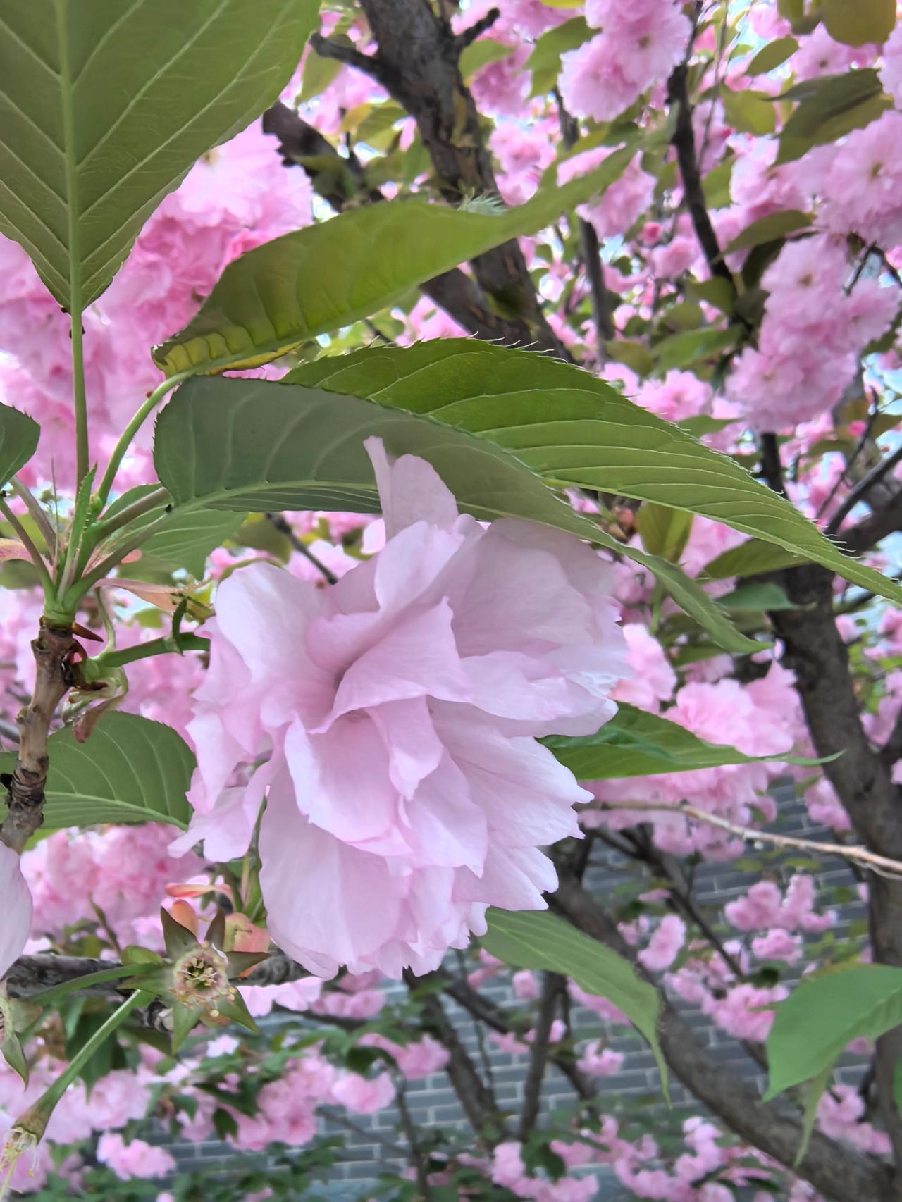 迎接每一天的快乐，守住每一天的健康，过好每一天的生活，共享每一天的阳光。愿我们都