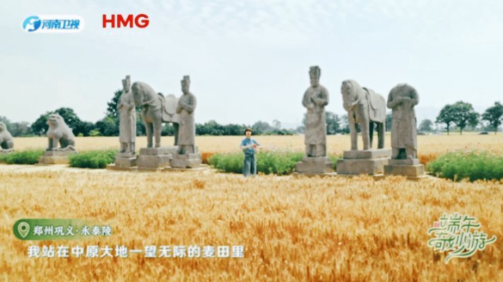 被鲁豫这段麦田演说治愈了麦浪悠悠，古韵绵长，鲁豫在《麦田守望者》的镜头下娓娓道来