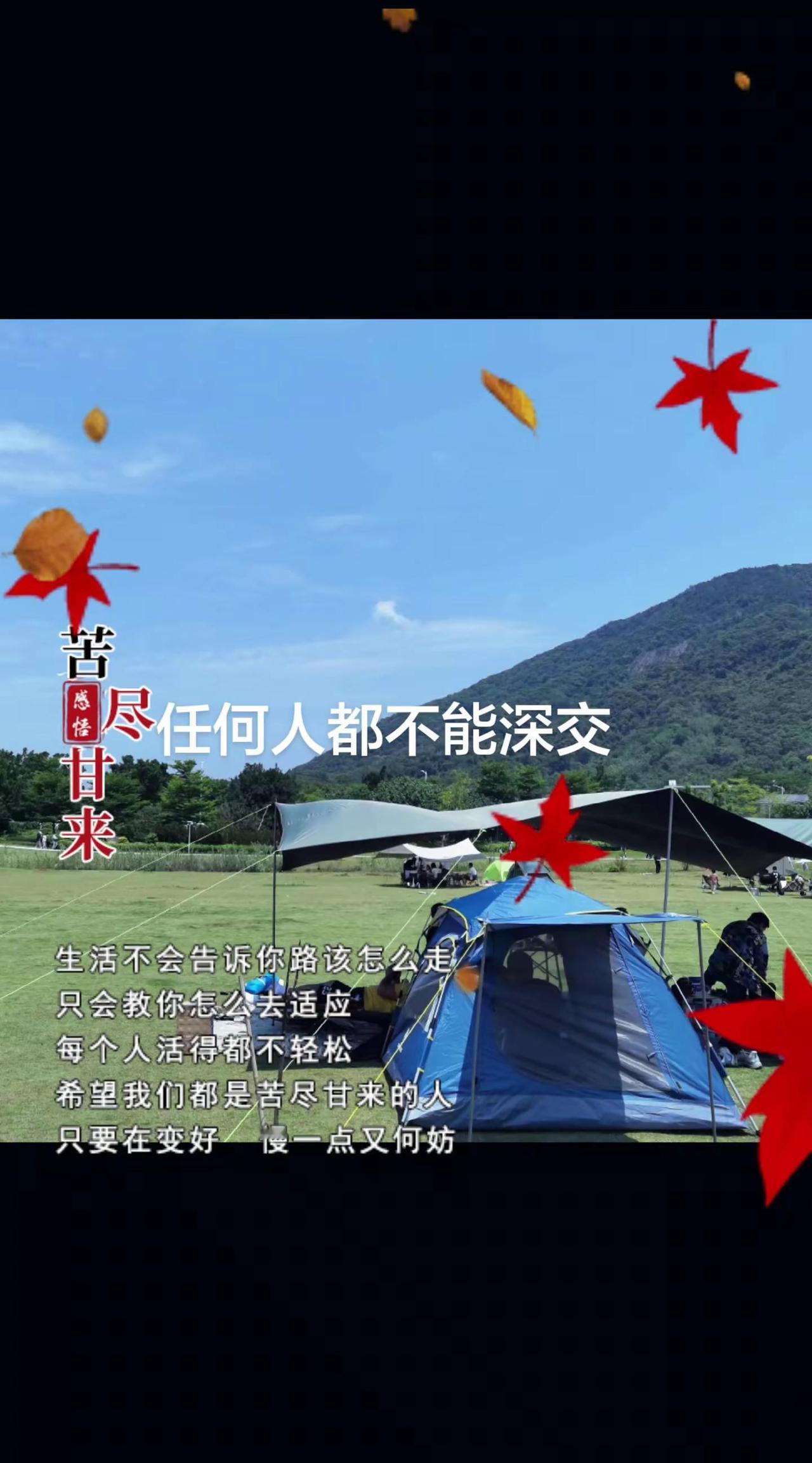 户外露营