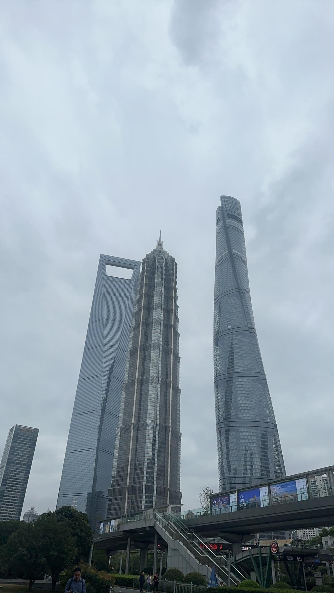 【琅河财经】从2026年起，我们将开始见证国内大学逐步破产淘汰，这个过程将持续3
