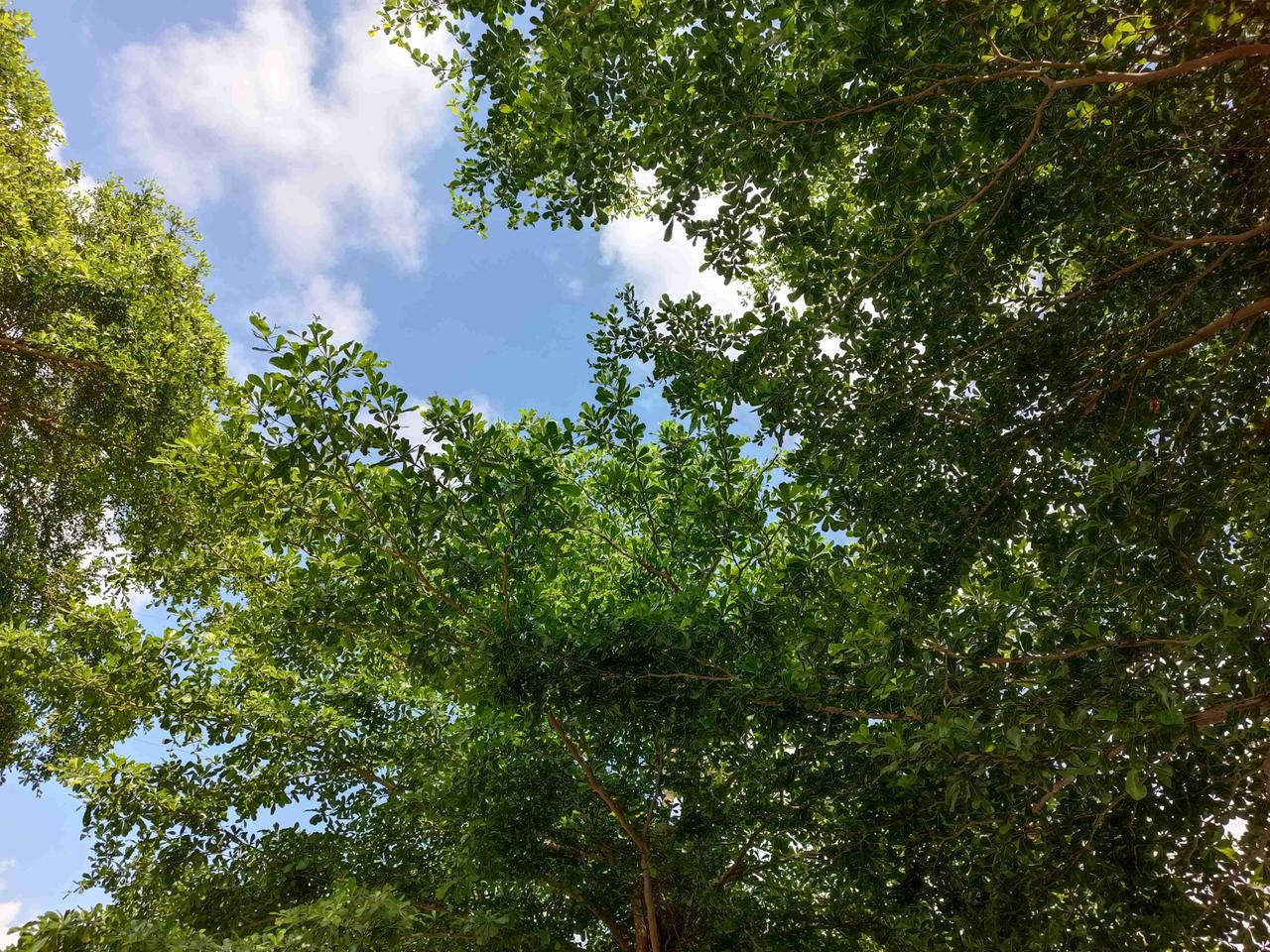 我的今日状态：🏃‍➡️运动
我这里的天气：🍂微风
