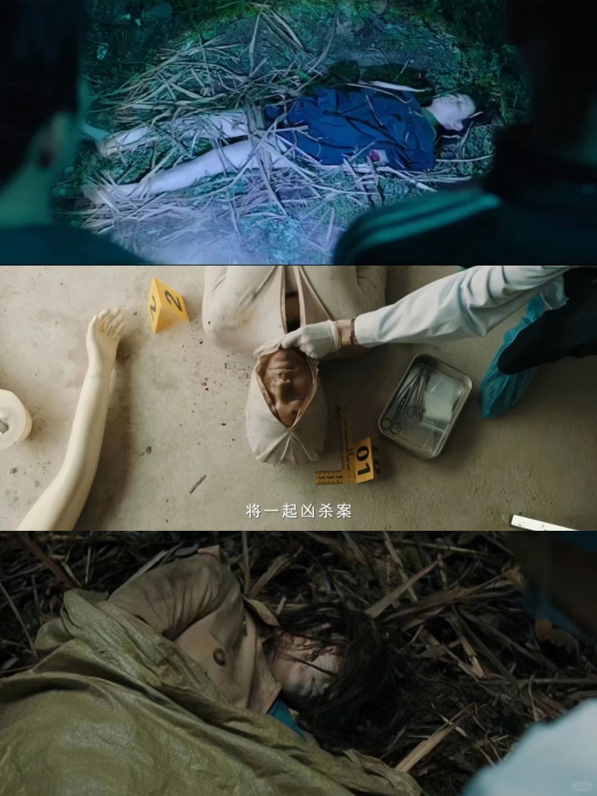 终于来了❗双男主悬疑追凶❗四宗犯罪单元案