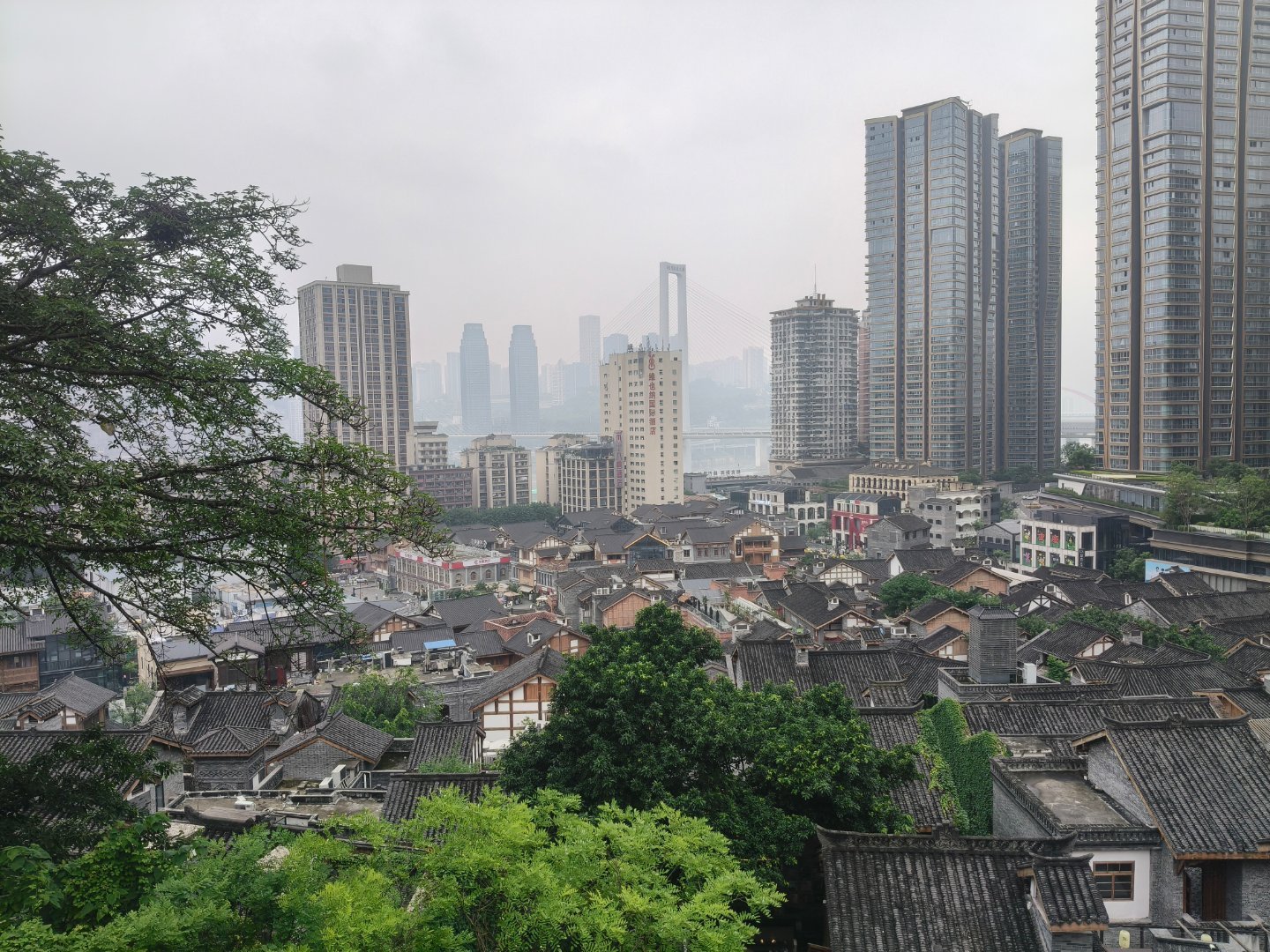 野生周报 在这座爱的城市里 