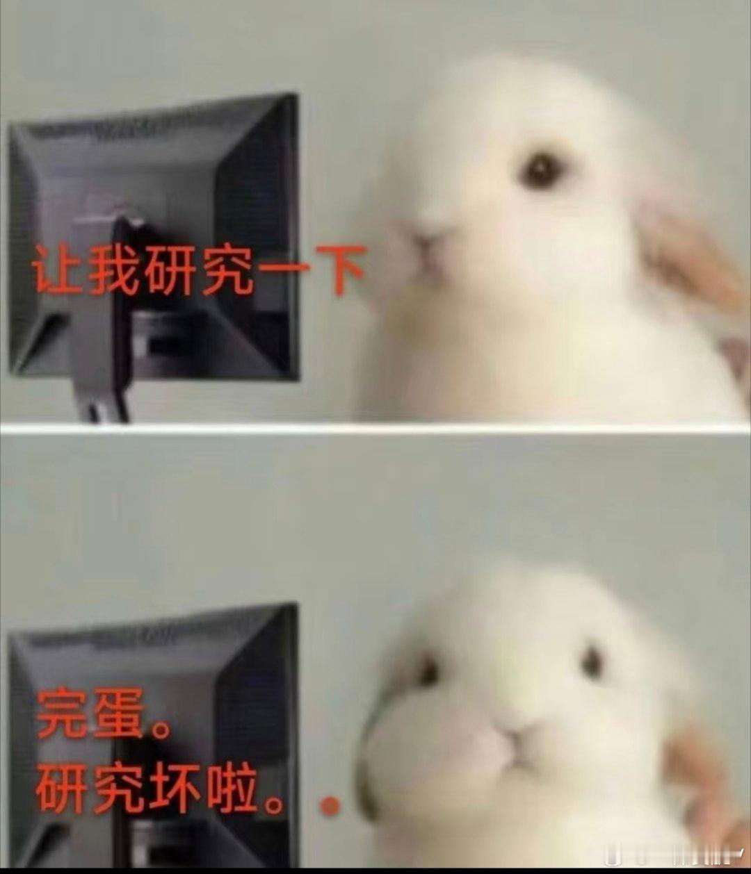 监控直出 ​​​