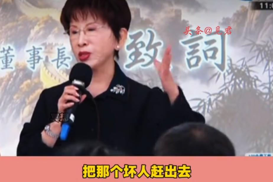 洪秀柱这人有个特点，说话从来不绕弯子，一针见血！

今天（3日）洪秀柱出席侯汉廷