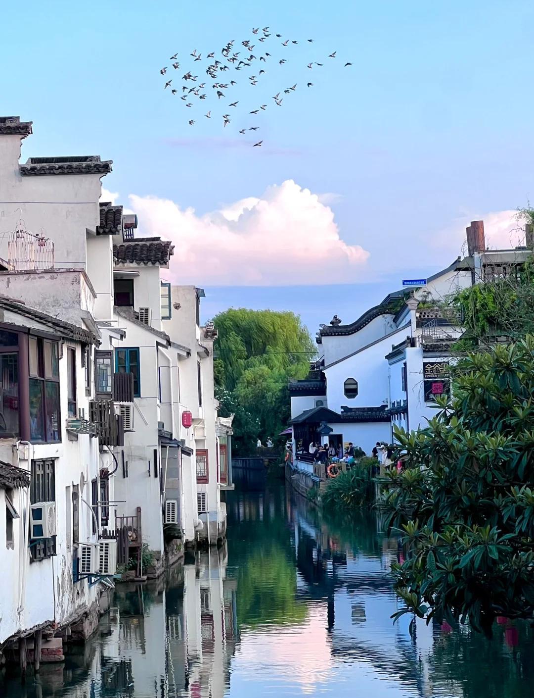 晨起便寻平江路而去，未想喧嚣，只赴一场与江南的旧约。脚下是被岁月磨得温润的青石板
