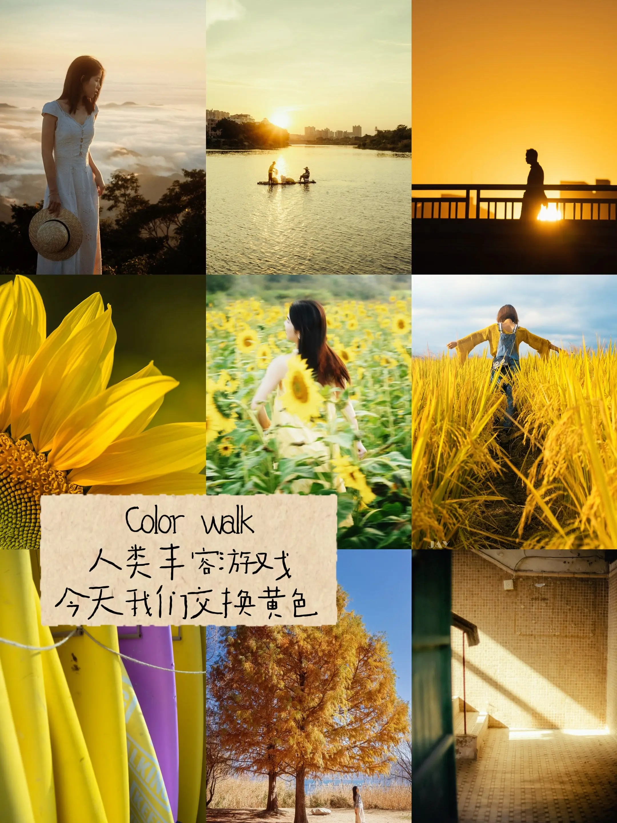 colorwalk 人类丰容游戏。今天我们交换黄色，黄色代表温暖，阳光...