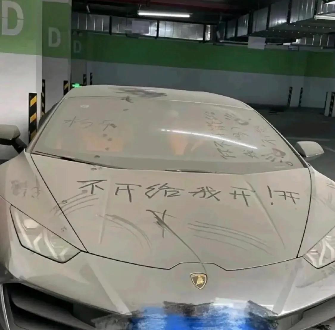我很好奇这种豪车的车主都去哪了？难道忘记这有台车了吗？我真的很羡慕啊